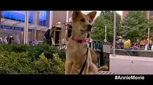 Annie - Featurette: Sandy - At Cinemas December 20