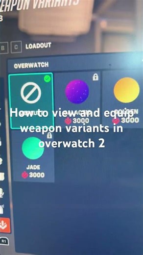 How to view and equip weapon variants in overwatch 2