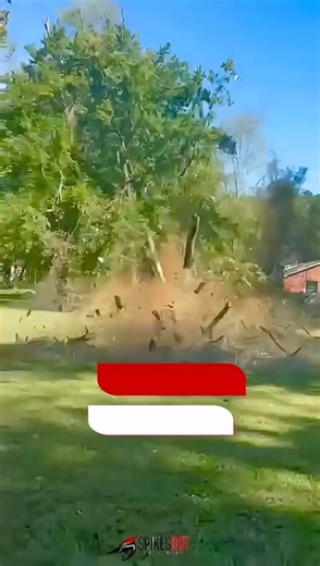 Is your tree trying to tell you something? 🌳🌱 IS YOUR TREE SICK? We often overlook the silent language of our trees. They don't bark or whimper, but they sure can show signs of stress. Imagine waking up one day and realizing the majestic tree in your backyard isn't as healthy as it once looked. It's like discovering a beloved pet has been unwell all along! Our professional service dives deep into the heart of your tree's well-being, ensuring they're as robust as ever. Just like we need regular