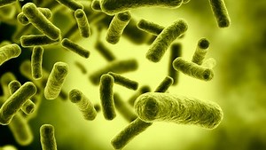 One person dead after botulism at church potluck