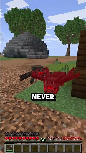 Public Minecraft Survival Server! (Java + Bedrock)
