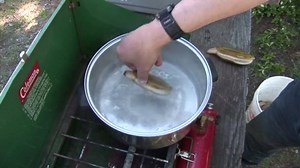 Cleaning Alaska's Razor Clams