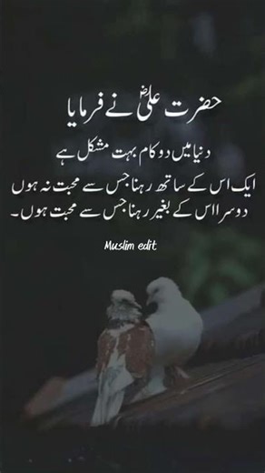 Teaching of Hazrat Ali||#hazratali #shortsfeed #trendingshorts #status #muslimedit #islam #quotes