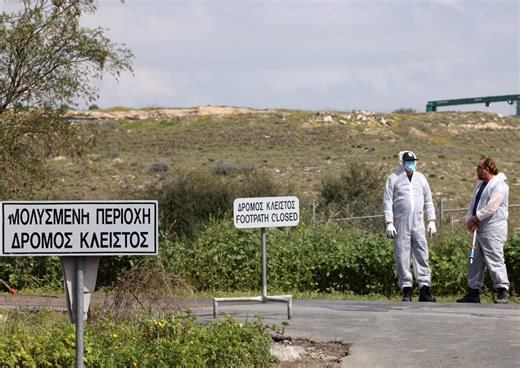 Αφθώδης πυρετός: Πόσα βοοειδή και πόσα αιγοπρόβατα εμβολιάστηκαν σε όλη την Κύπρο | AlphaNews