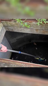 220K views · 2.1K reactions | Giant Snakehead! | Bass Fishing Productions | Facebook