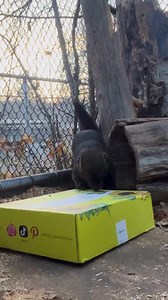 1.7K views · 62 reactions | Today is another episode of Fisher...