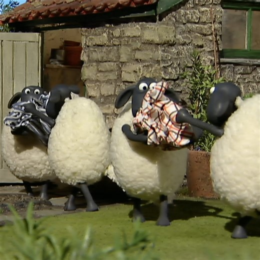 612K views · 18K reactions | Who needs an instruction manual when you can just make it up as you go along? ☺ | Shaun the Sheep | Facebook