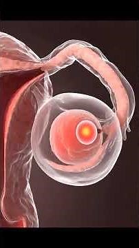 How Sperm Meets the Egg | Baby Formation Process Explained in Animation