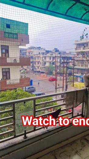 song #deshi #trendingshorts #trending #shortsfeed #shorts #youtube #youtubeshorts #ytshorts #fun