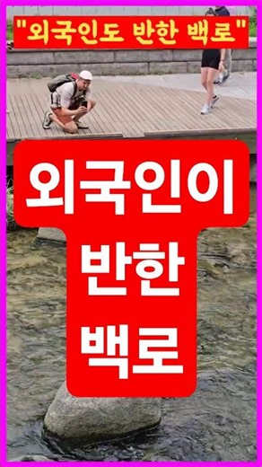 The peaceful stroll of a white heron at Cheonggyecheon that captivated even foreign tourists #Che...