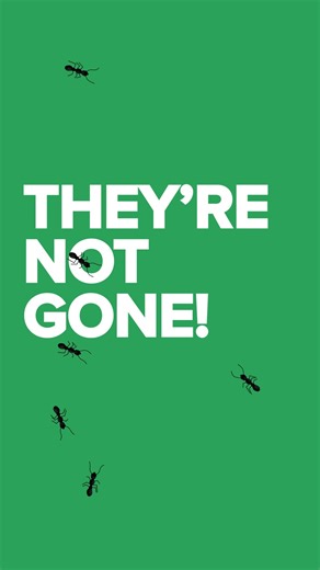 Those pests from 2025? They're not gone—just waiting to come back. 🕷️🐜 Stop them before they return. We're waiving the $260 setup fee on annual pest plan through January. Quarterly protection, guaranteed work, and if anything shows up between visits, we'll come back. 60 years protecting Pacific Northwest homes. Call us today! | Interstate Pest Management