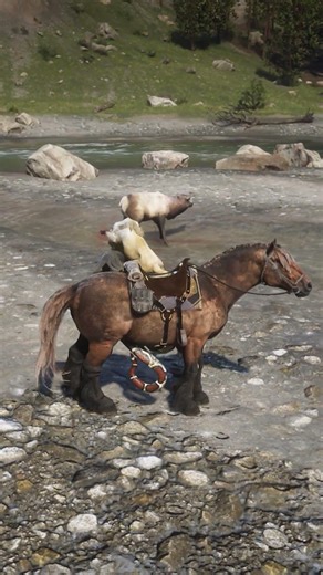 p1026 Simulate great survival skills , #shorts