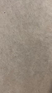 The real story: Deep in the midnight zone, where sunlight never reached, a lone anglerfish drifted. She had always known the cold embrace of the deep, the slow dance of bioluminescent creatures, the quiet certainty of the dark. Her lure glowed softly, a promise to the unsuspecting, a comfort to herself. But one day the currents changed. The once rich hunting grounds grew barren. Strange debris littered the seafloor, and the water carried a bitterness she didn’t understand. The quiet was broken b