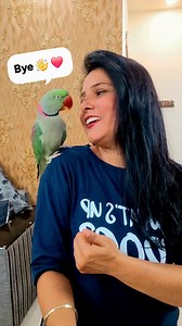 968K views · 29K reactions | Parrot Pablo Cute Funny BYE  藍 #reels #parrot #cute #funny #PabloFamily | Pablo Family | Facebook
