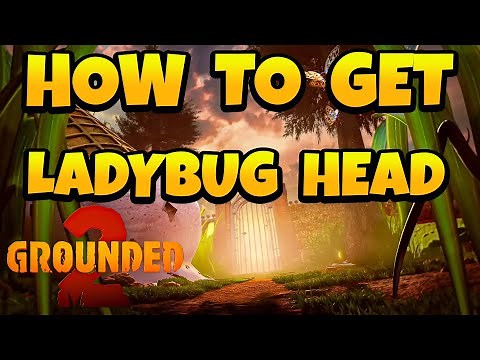 How to Get Ladybug Head in Grounded 2