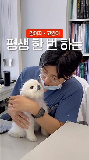 강아지 고양이 알러지 검사 꿀팁 #피부전문동물병원 #라퓨클레르