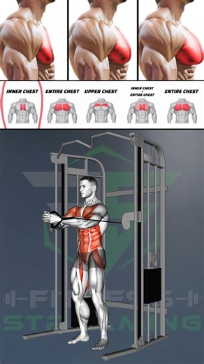 How to Build a Complete Chest by Training Upper, Mid and Lower Chest the Right Way #pectoralworkout #pushday #musclegrowth #strengthtraining #bodybuilding #fitness #gymtraining | Fitness Streaming