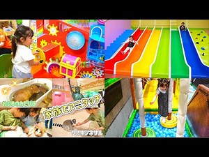 【60分まとめ動画】れおりるといっしょにあそぼう４
