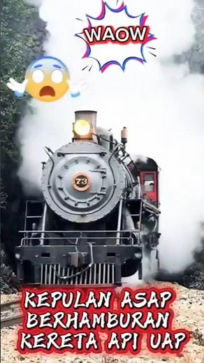 WAOW! Kereta Api Uap Meledak Asap! Epic Moment Keluar Terowongan!