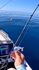 First cast didn’t even hit the bottom… @bowlys_fishing #chasebaits | Chasebaits Australia