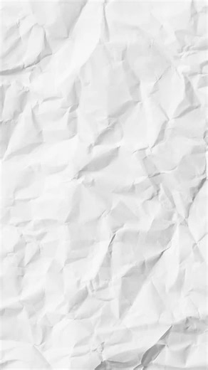 1.3K views · 75 reactions | Meet the Cesky terrier Short legs, big heart, and ready to make new best friends  #CeskyTerrier | PAW POINT UK | Facebook