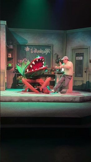 Audrey 2 Best One Liners | Little Shop of Horrors| Live Performance