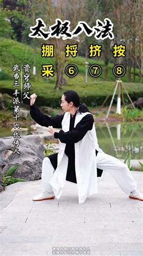 The Eight Methods of Tai Chi#Tai Chi#Baduanjin#Let s exercise together#Aerobic