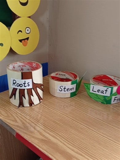 Activity Base Teaching #teachingontiktok #ecce #activitybasedlearning #teacher #tlm