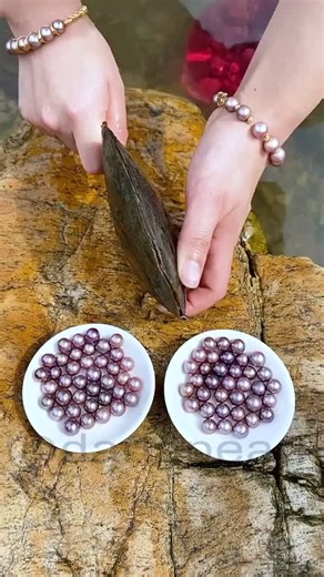 Natural Purple Freshwater Pearl - Different Color Pearls