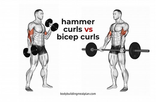 Hammer Curls vs Bicep Curls: How To Build Biceps Width & Peak