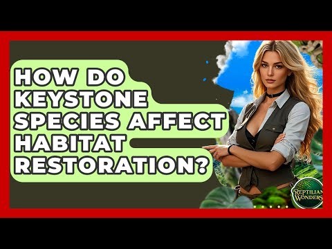 How Do Keystone Species Affect Habitat Restoration? - Reptilian Wonders