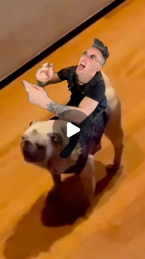 Venjent | I made this to celebrate sharing a stage with the mighty @theprodigyofficial at @wearefstvl this summer! When I was told I went barking mad... | Instagram