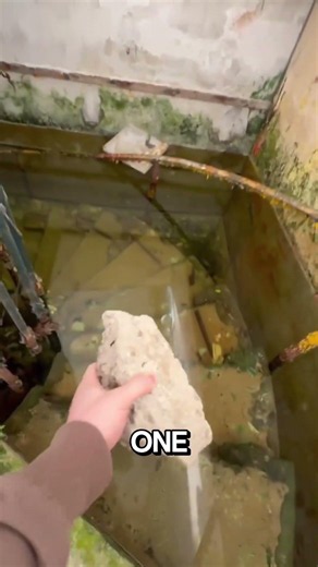Why Still Water Is So Dangerous!