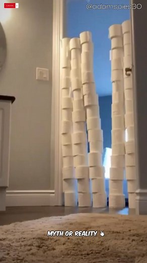Think you can make it over a toilet paper roll? | Myth or Reality