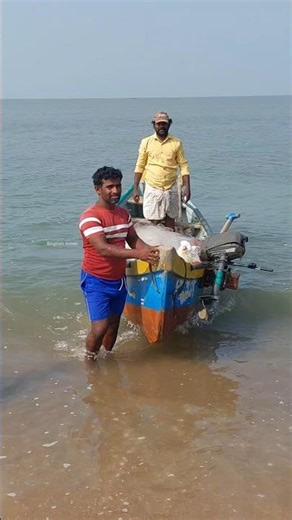 ഒരു തോണി വരുന്നുണ്ട് മീൻ ഏതാന്ന് കണ്ടാലോ #fishing #seafishing #fisherman #shorts #fish 4.2.26
