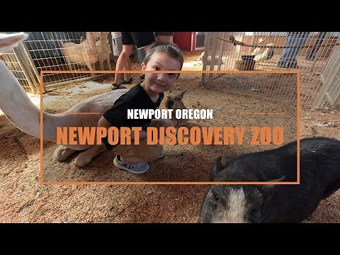 Newport Discovery Zoo | Newport Oregon