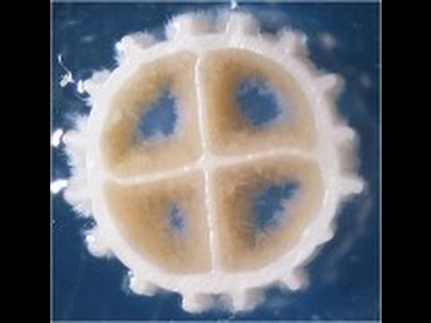 Know about Kaldnes K1 Biohouse Filter Media