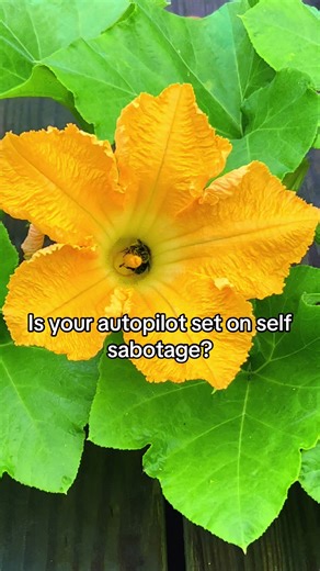 Your subconscious is running the show 95% of the time — and it’s stuck on old patterns that feel safe, even when they hold you back. The good news? You can rewire it. Step off autopilot and start showing up for yourself. #SelfSabotage #SubconsciousHealing #MindsetShift #InnerWork #EmotionalFreedom