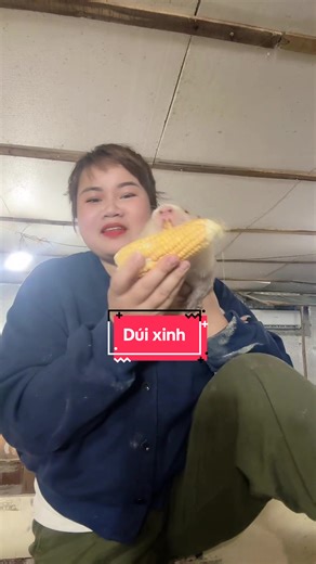 Dúi Xinh Thái Nguyên: Khám Phá Nguồn Cung Đặc Biệt