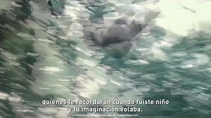 152K views · 646 reactions | Revive momentos inolvidables con Christopher Robin, el niño que compartió innumerables aventuras en el bosque de los Cien Acres. Disfruta de la magia de esta película por #Clarovideo aquí: https://bit.ly/2QtnRu7 | Claro video | Facebook