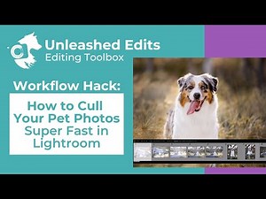 How to Cull Your Pet Photos Super Fast in Lightroom