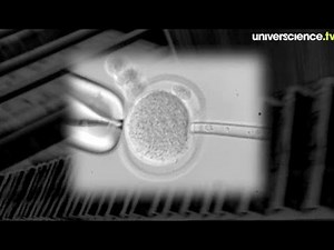 Reportage / IPS, la nouvelle révolution cellulaire (2009)