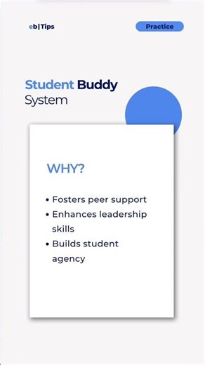 Build Peer Support Into the Structure | The Student Buddy System Explained
