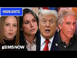 MS NOW Highlights - Jan. 29