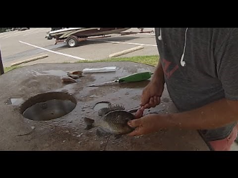 How To Clean Bream