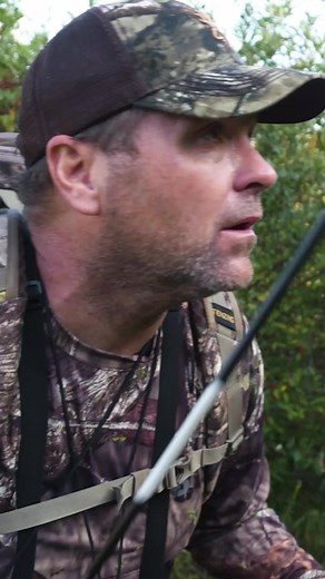 We stalked in on this bull to 10 yards! Hiking up the mountain through some nasty brush wasn’t fun but the biggest elk of my life made it all worth it!....#bowhunting #elk #throwbackthursday #elkhunting | Driven with Pat & Nicole