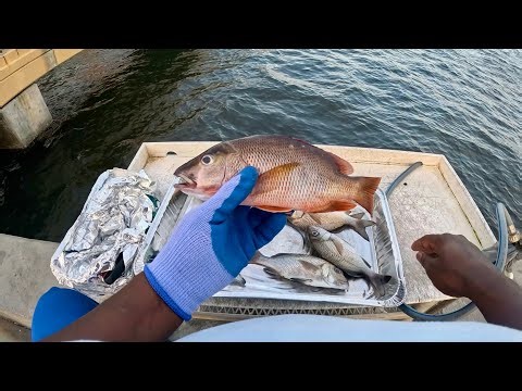 Dock Talks: 🔥 Fish Cleaning Time! Watch Me Clean Grunts & a Big Mangrove Snapper 🐠✨
