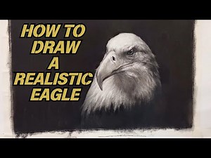 Pencil Drawing: How to Draw a Realistic Eagle | Step-by-Step Tutorial 🦅#arttutorial
