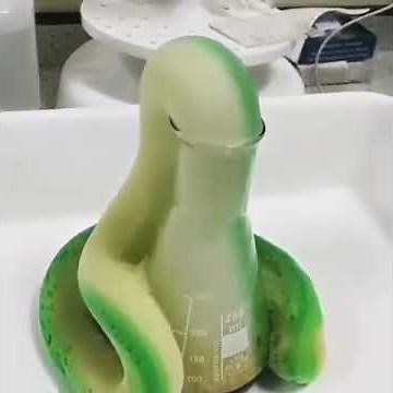Elephant toothpaste experiment ( hydrogen peroxide by using potassium iodide as a catalyst )