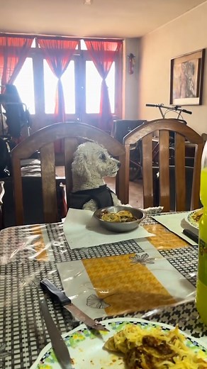 He's a distinguished gentleman!🎩 | Furry Tails